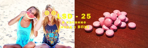 прущие крисы Аркадак