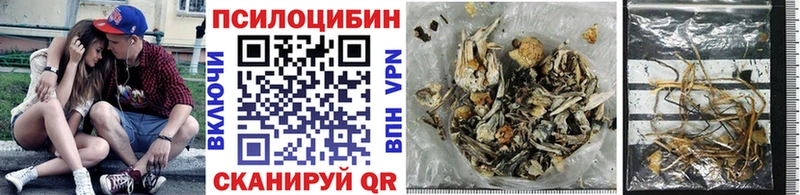 Псилоцибиновые грибы Psilocybe  кракен ССЫЛКА  Соль-Илецк 